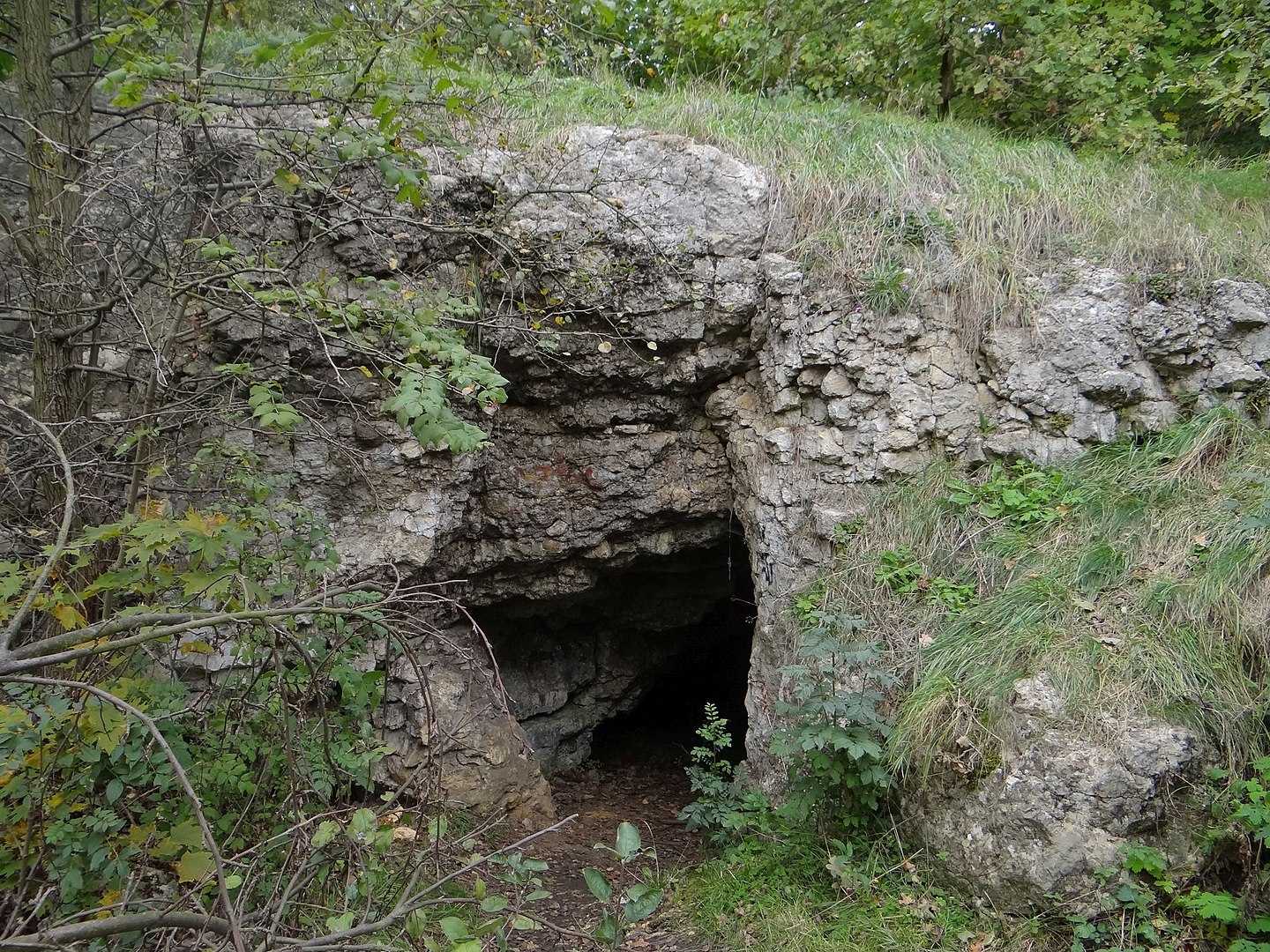 Закшувек – Пещера Твардовского / Нора